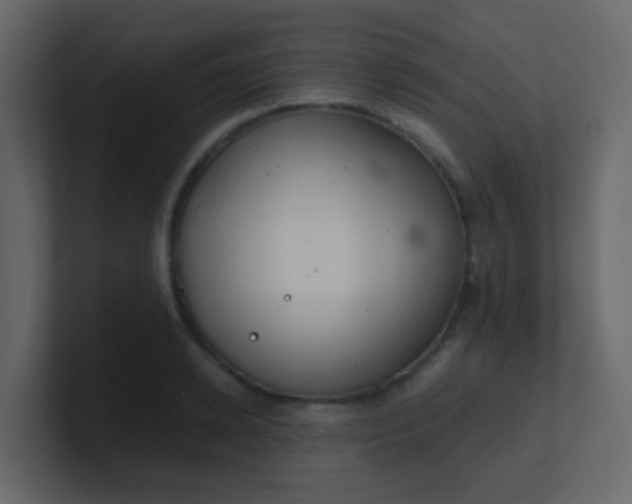 X0000101110942200807101506