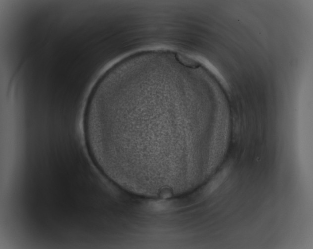 X0000101110943200807101506
