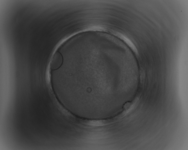 X0000101110944200807101506