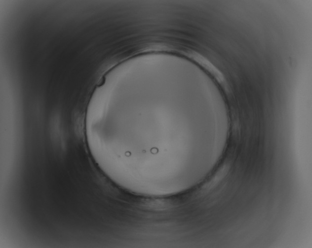 X0000101110945200807101506