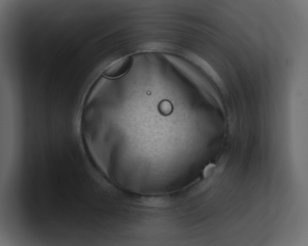 X0000101110946200807101506