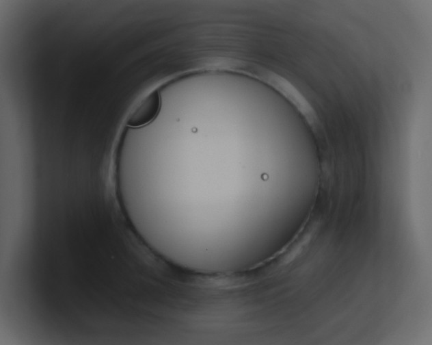 X0000101110948200807101506