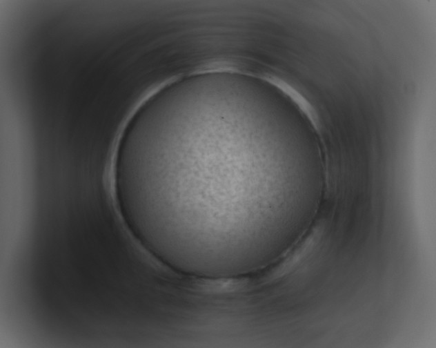 X0000101110949200807101506