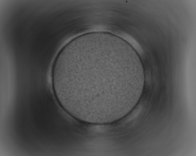 X0000101110950200807101506