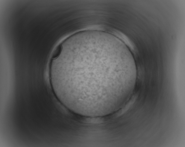X0000101110952200807101506