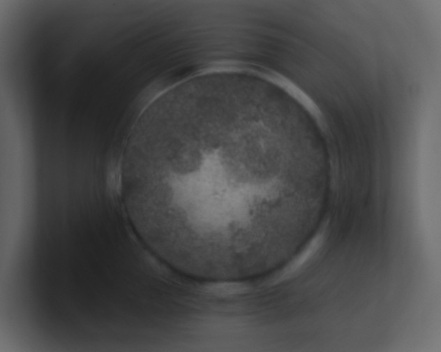 X0000101110953200807101506