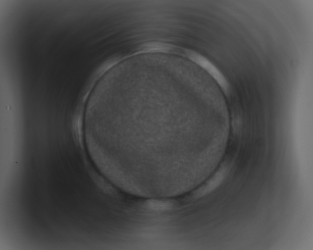 X0000101110954200807101506