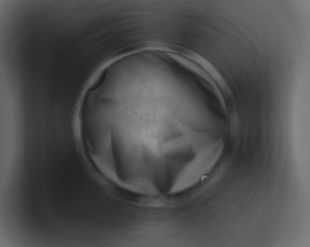 X0000101110955200807101506