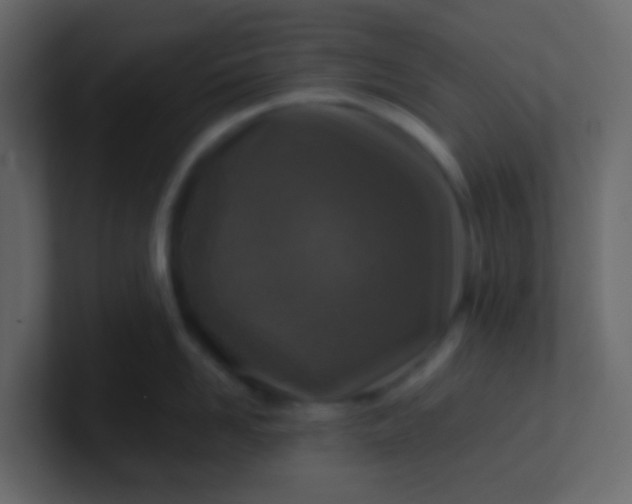 X0000101110958200807101506