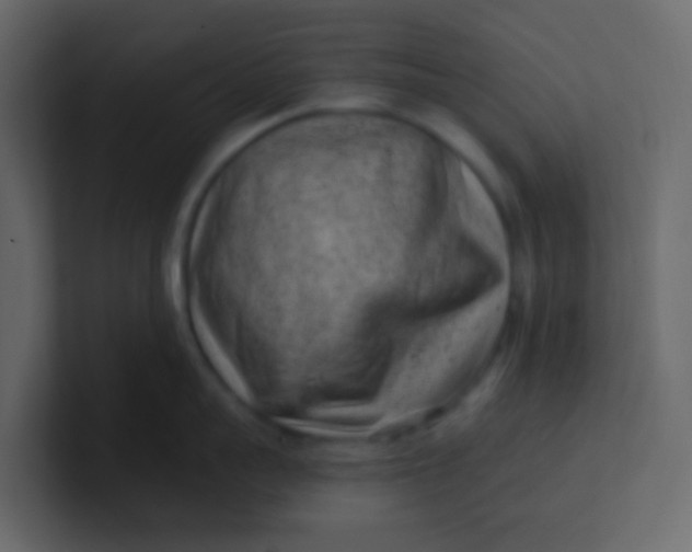 X0000101110959200807101506