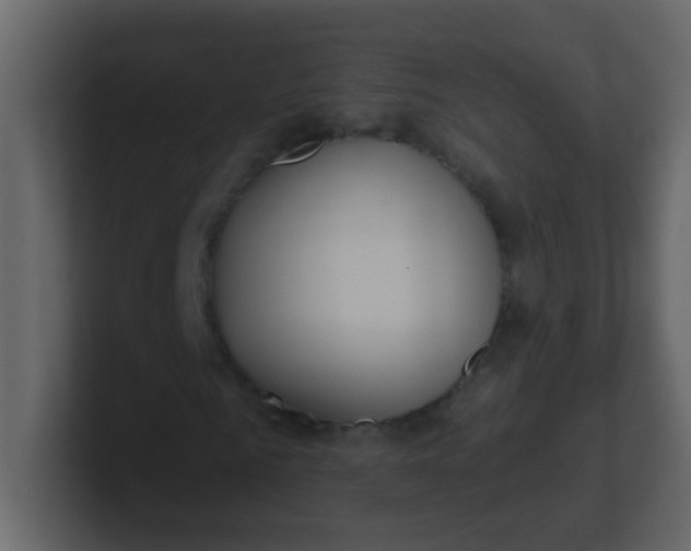 X0000101110961200807101505