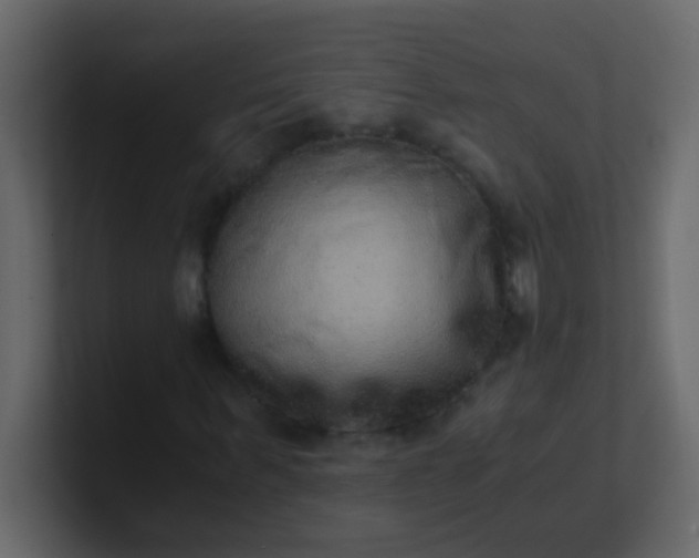 X0000101110963200807101505