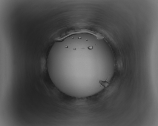 X0000101110964200807101505