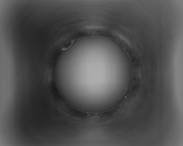 X0000101110965200807101505