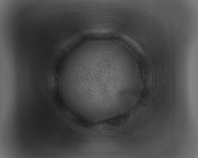 X0000101110966200807101505