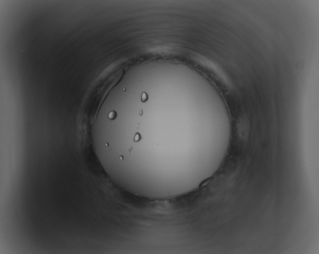 X0000101110968200807101505