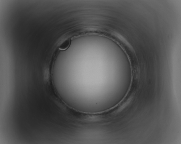 X0000101110969200807101505