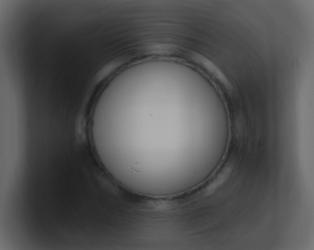 X0000101110970200807101505