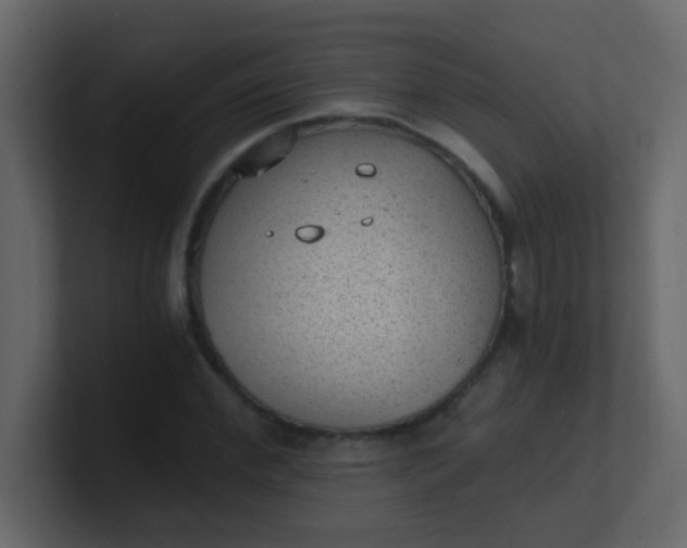 X0000101110972200807101505