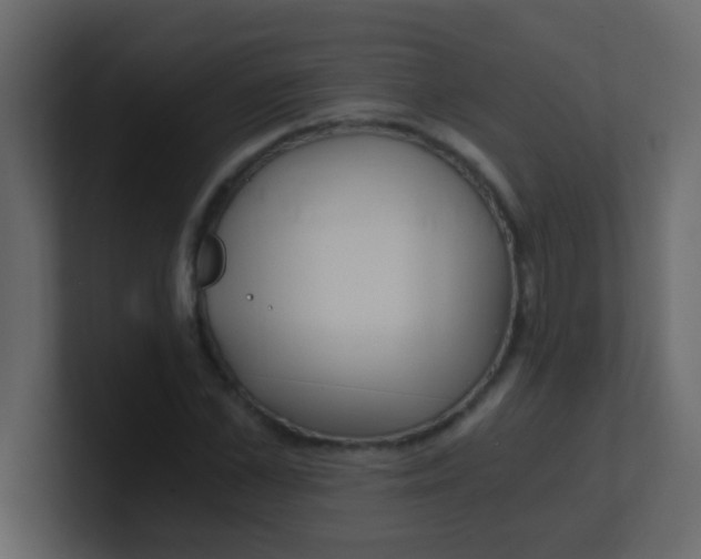 X0000101110973200807101505