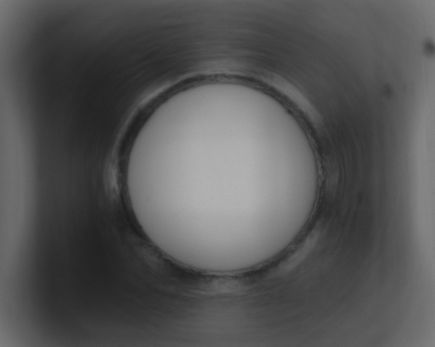 X0000101110974200807101505
