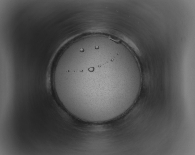 X0000101110976200807101505