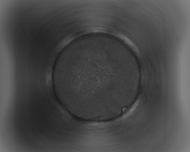 X0000101110977200807101505