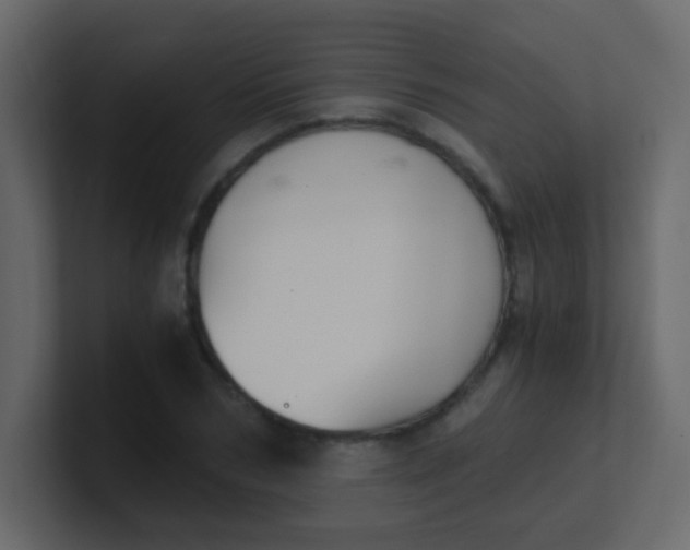 X0000101110978200807101505