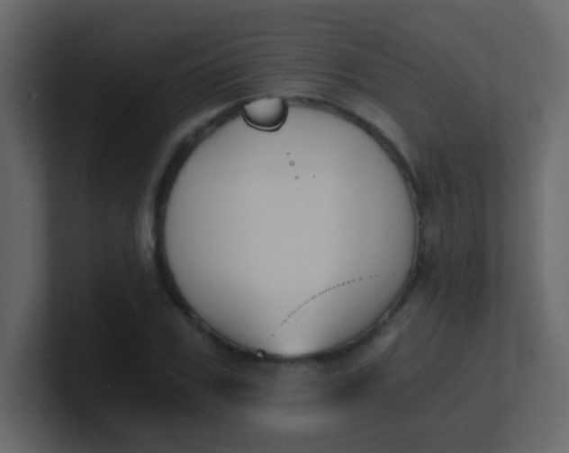 X0000101110979200807101505