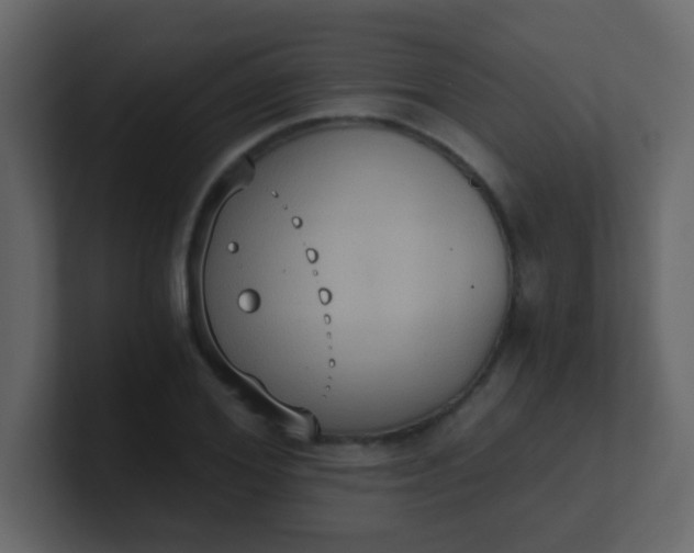 X0000101110980200807101505