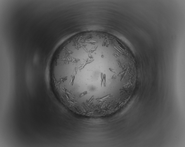 X0000101110983200807101505
