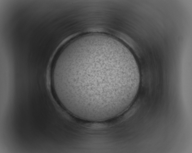 X0000101110984200807101505