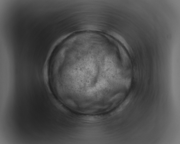 X0000101110987200807101505
