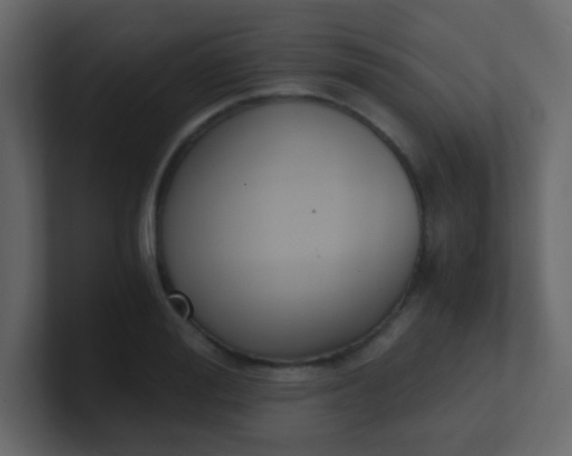 X0000101110988200807101505