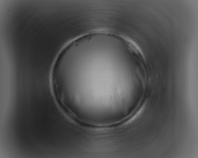 X0000101110989200807101505