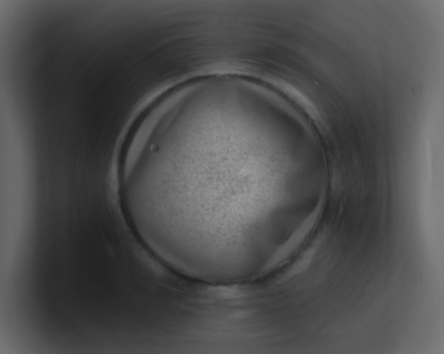 X0000101110990200807101505