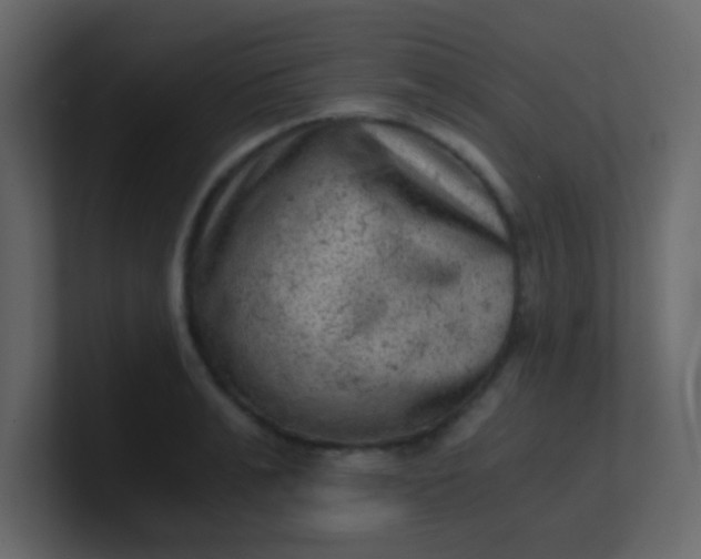 X0000101110991200807101505