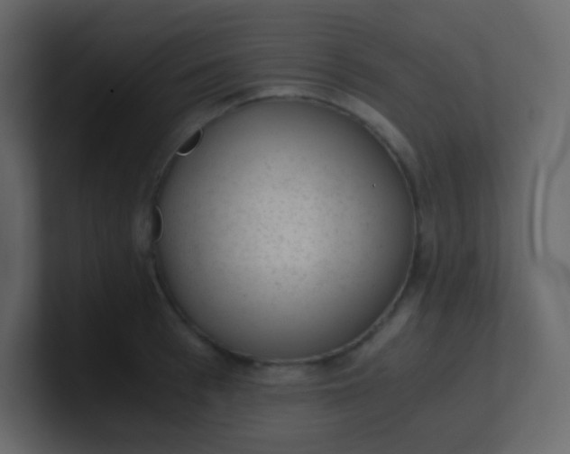 X0000101110993200807101505