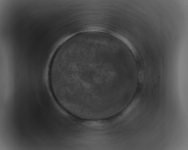 X0000101110995200807101505