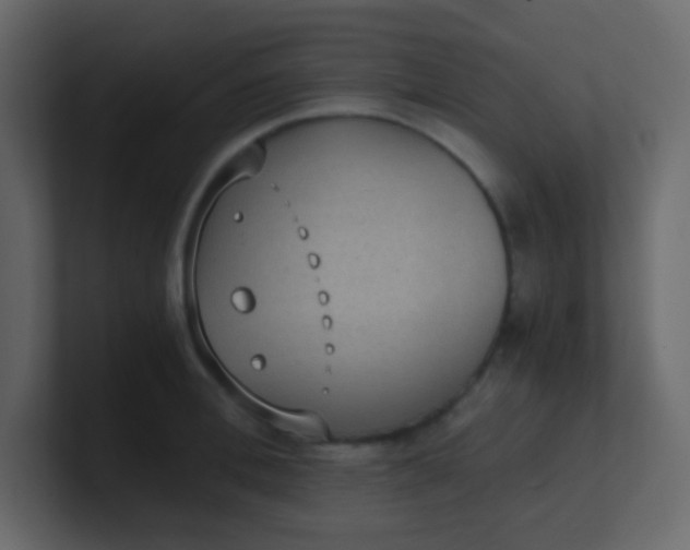 X0000101110996200807101505