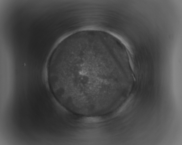 X0000101110998200807101505