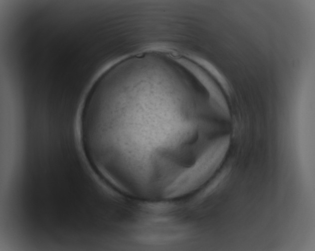 X0000101110999200807101505
