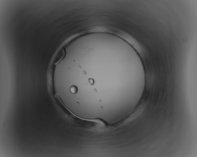 X0000101111000200807101505