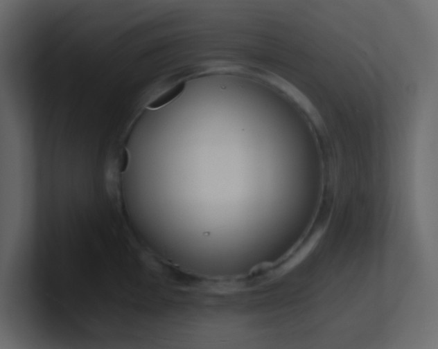 X0000101111001200807101505