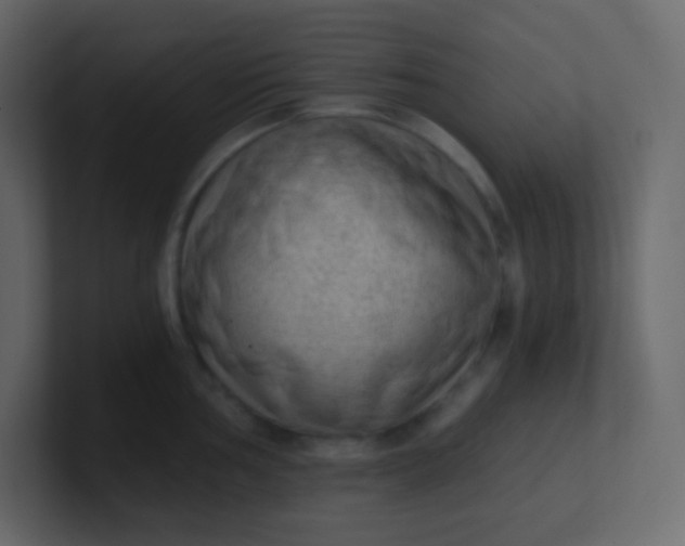 X0000101111002200807101505