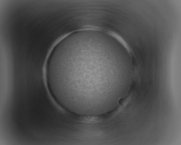 X0000101111003200807101505