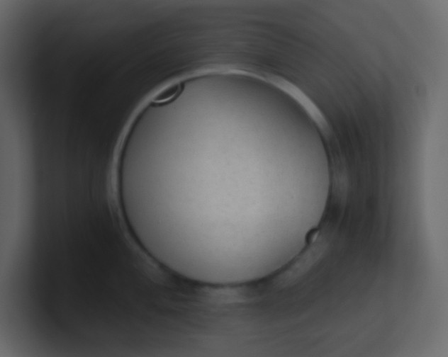 X0000101111004200807101505