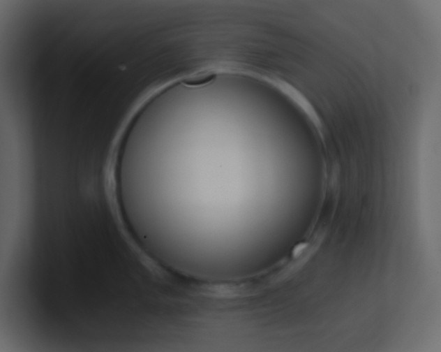 X0000101111005200807101505