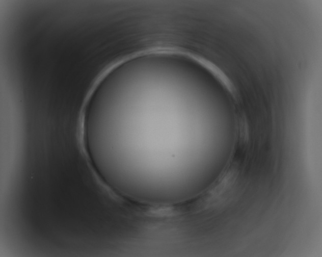X0000101111006200807101505