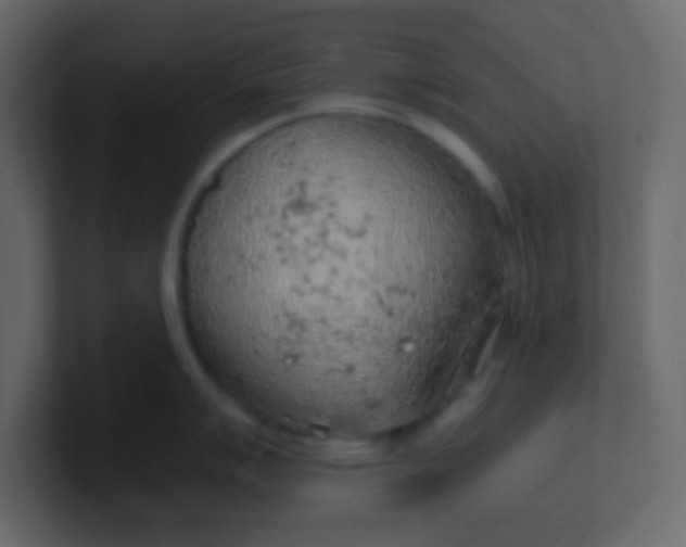 X0000101111007200807101505